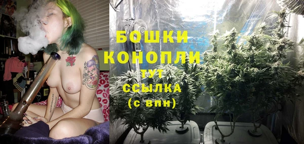 трава Вязьма