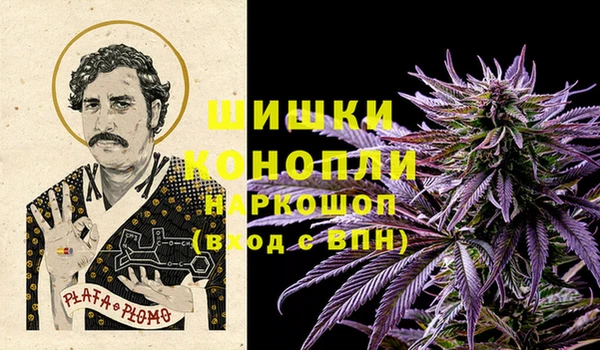 трава Вязьма