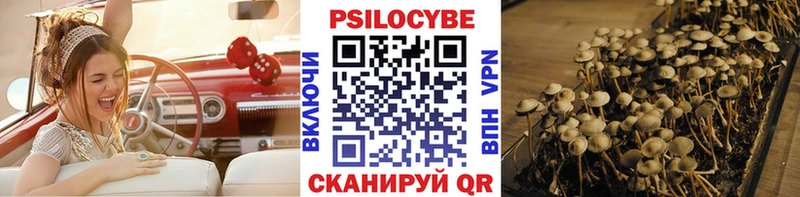 Галлюциногенные грибы GOLDEN TEACHER  Купить где  Починок 